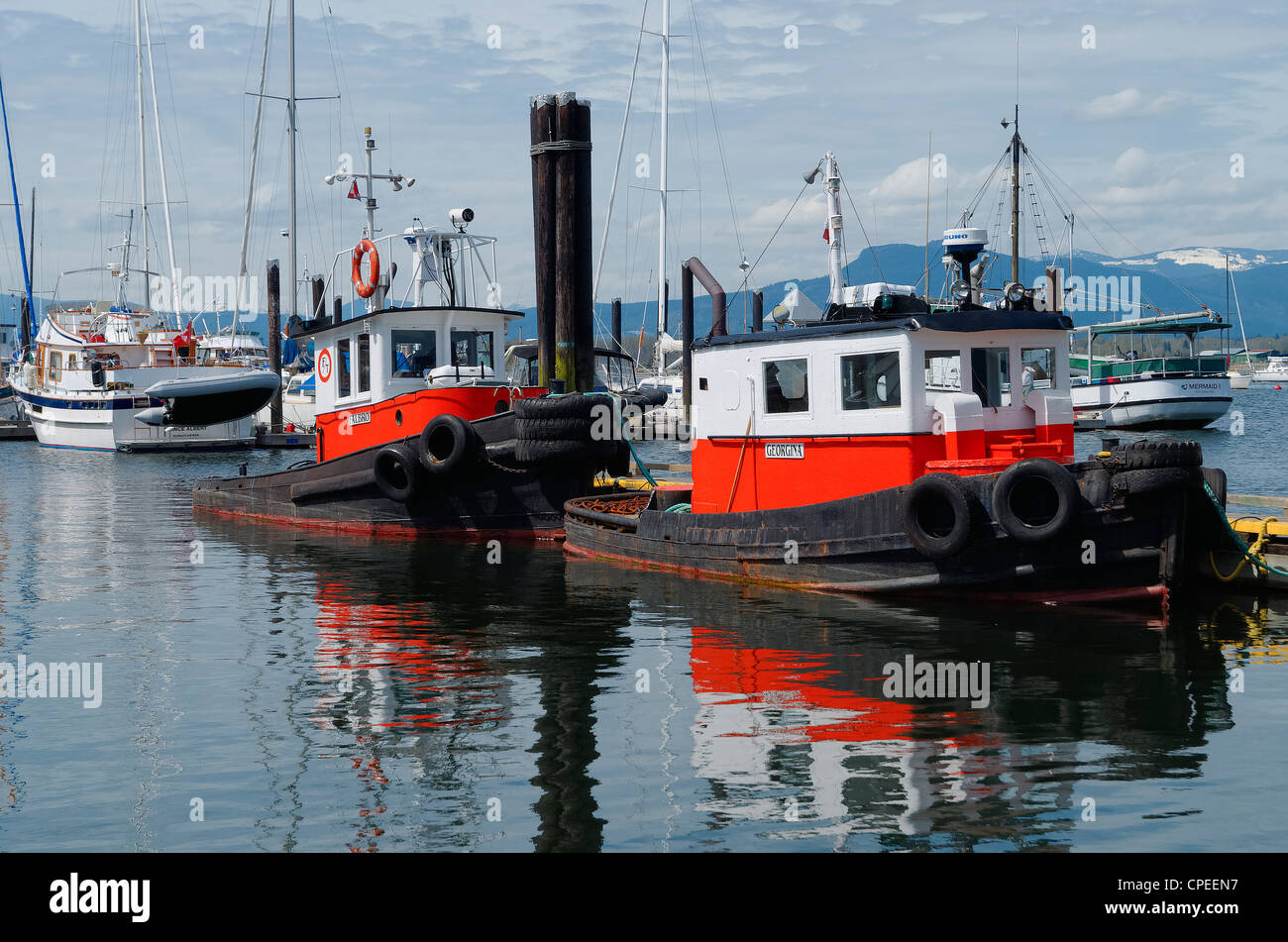 Remolcadores, Cowichan Bay, Isla de Vancouver, British Columbia, Canadá Foto de stock