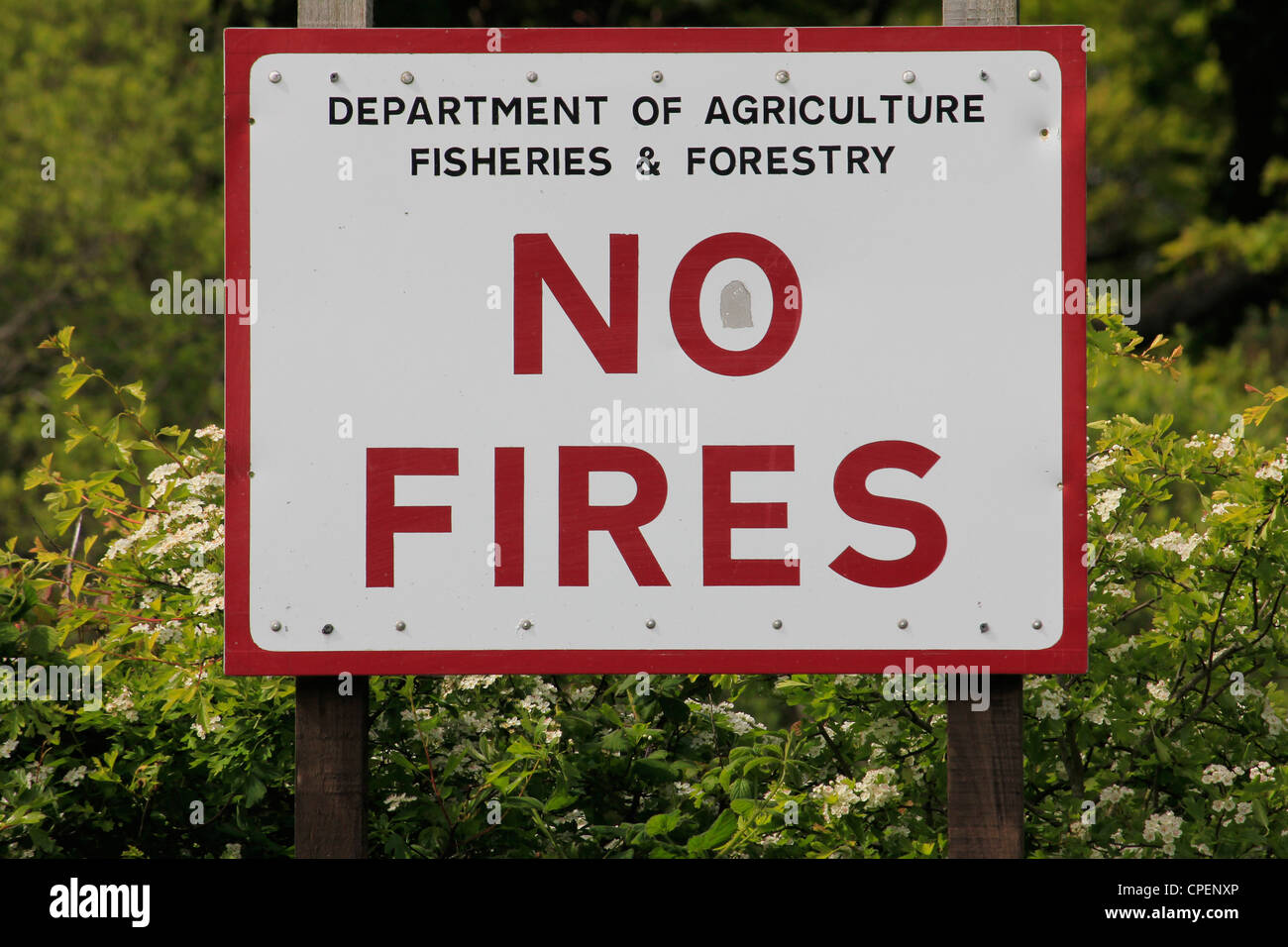 Un cartel con letras rojas leyendo 'No hay incendios" sobre un fondo blanco, en el campo Foto de stock
