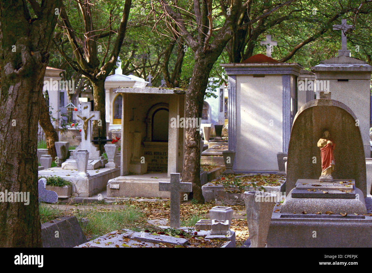 Cementerio con árboles colgantes y hojas caídas entre las tumbas y grave de los marcadores
