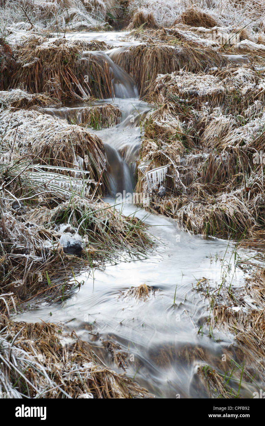El hielo y la escarcha alrededor de un arroyo de montaña en invierno. Powys, Gales. De enero. Foto de stock