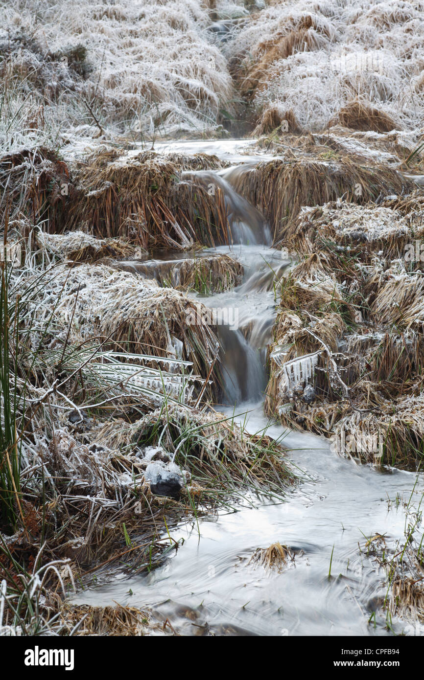 El hielo y la escarcha alrededor de un arroyo de montaña en invierno. Powys, Gales. De enero. Foto de stock