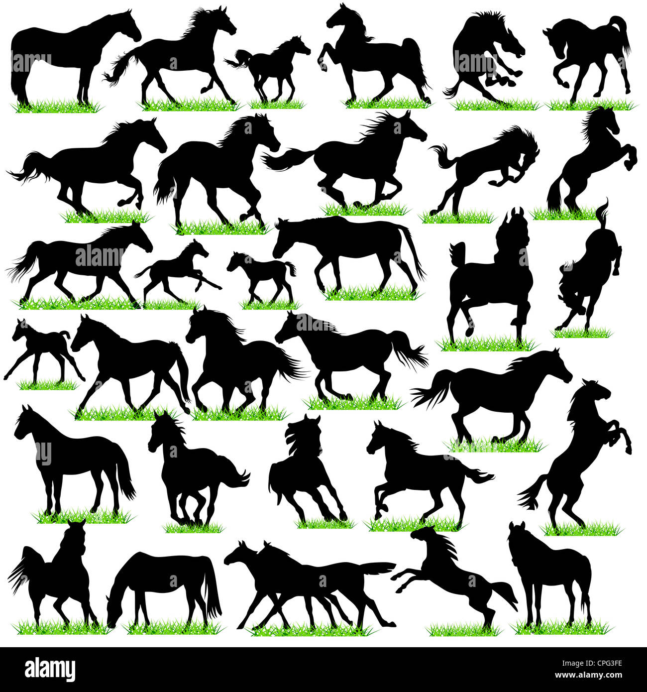 32 caballos siluetas Set Foto de stock