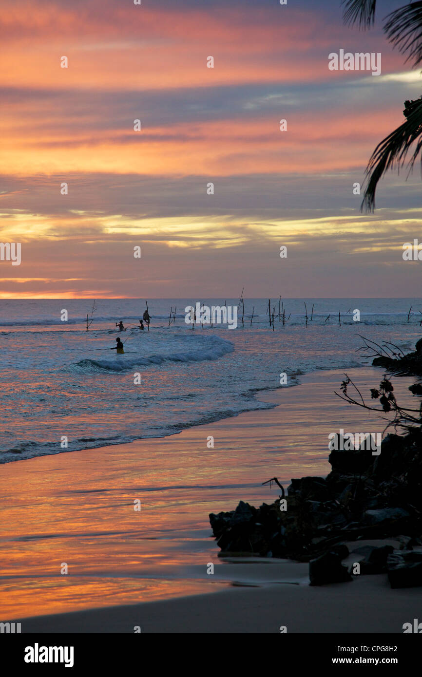 Los pescadores zancos en Weligama, Sri Lanka, Costa Sur, Asia Foto de stock