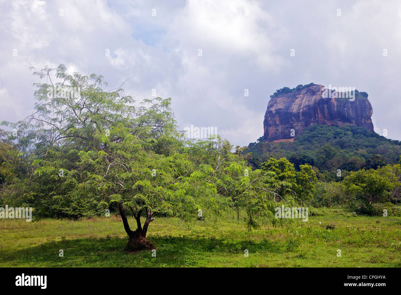 Lion Rock fortaleza, Sitio del Patrimonio Mundial de la UNESCO, Sigiriya, Sri Lanka, Asia Foto de stock