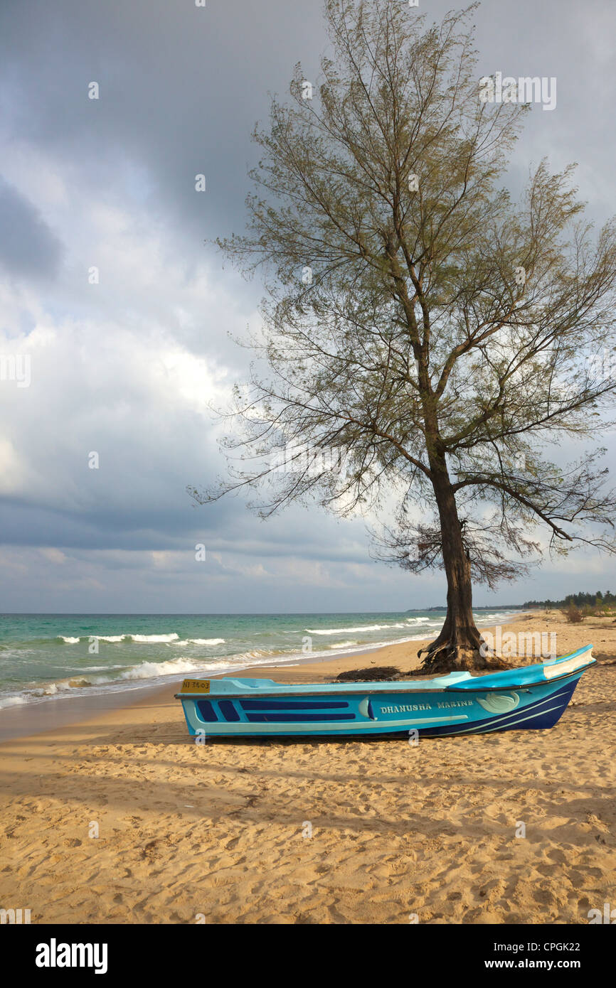 Nilaveli beach, Trincomalee, Sri Lanka, Asia Foto de stock
