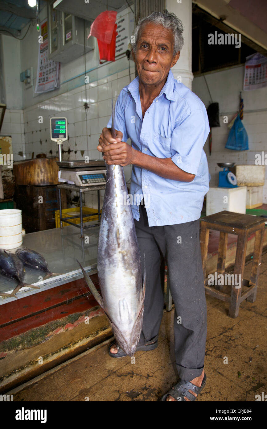 Pescadería con pescado fresco para su venta en el mercado de Kandy, Sri Lanka, Asia Foto de stock