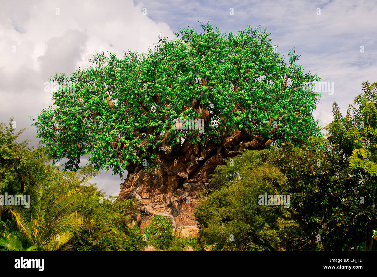 Un árbol tallado en Disney's Animal Kingdom Theme Park, Orlando, Florida, EE.UU. Foto de stock