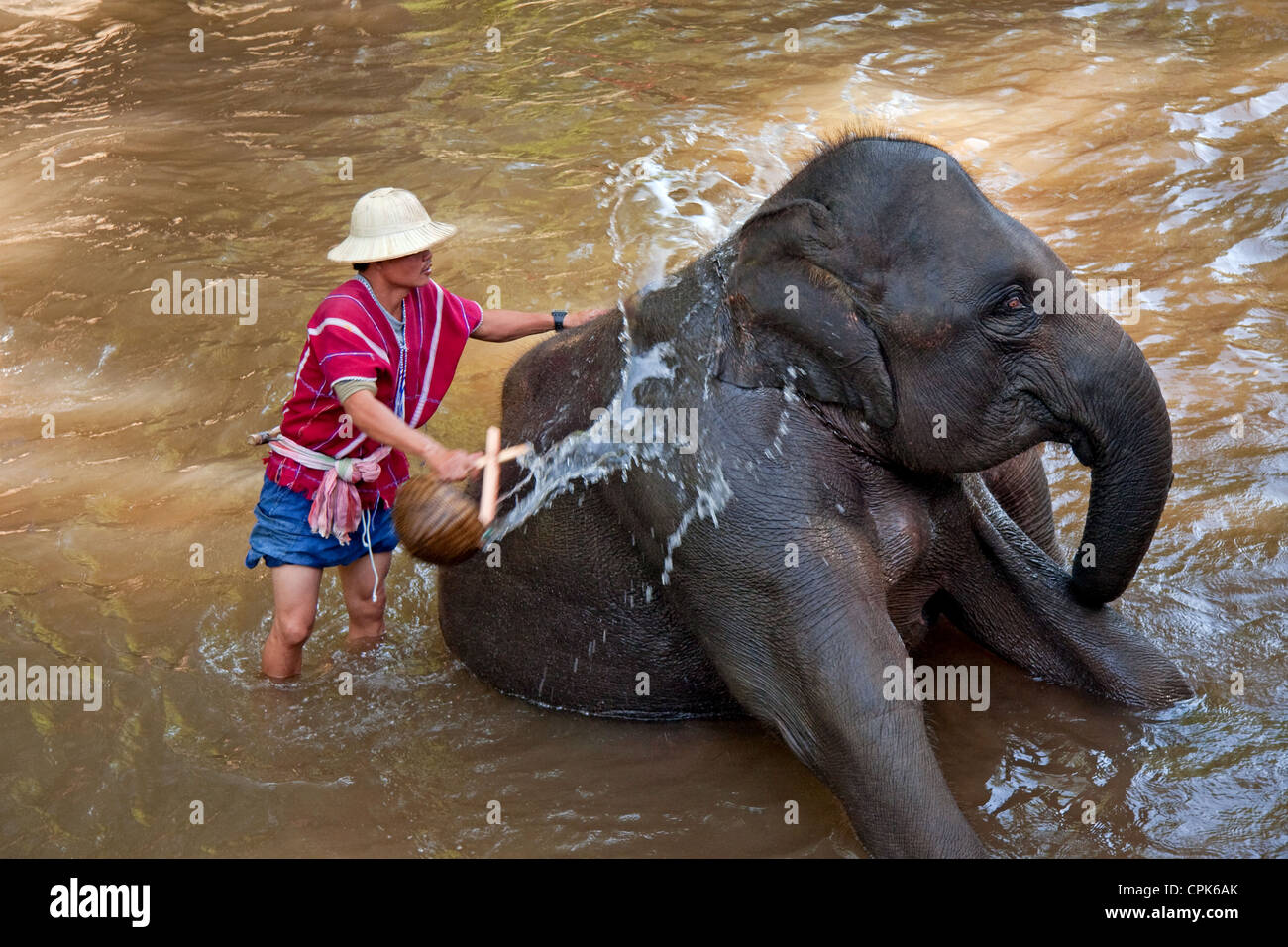 Mahout lavando su elefante Foto de stock