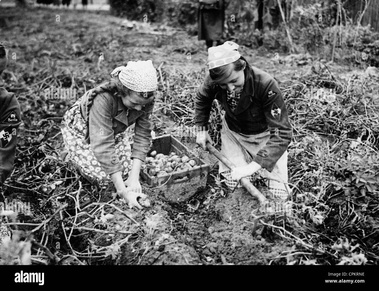 Liga de chicas alemanas [Bund Deutscher Maedel o BDM] durante la cosecha de papa, 1939 Foto de stock