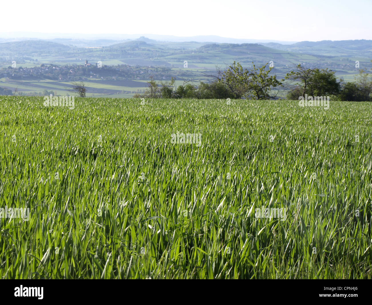 Auvernia, Francia Foto de stock