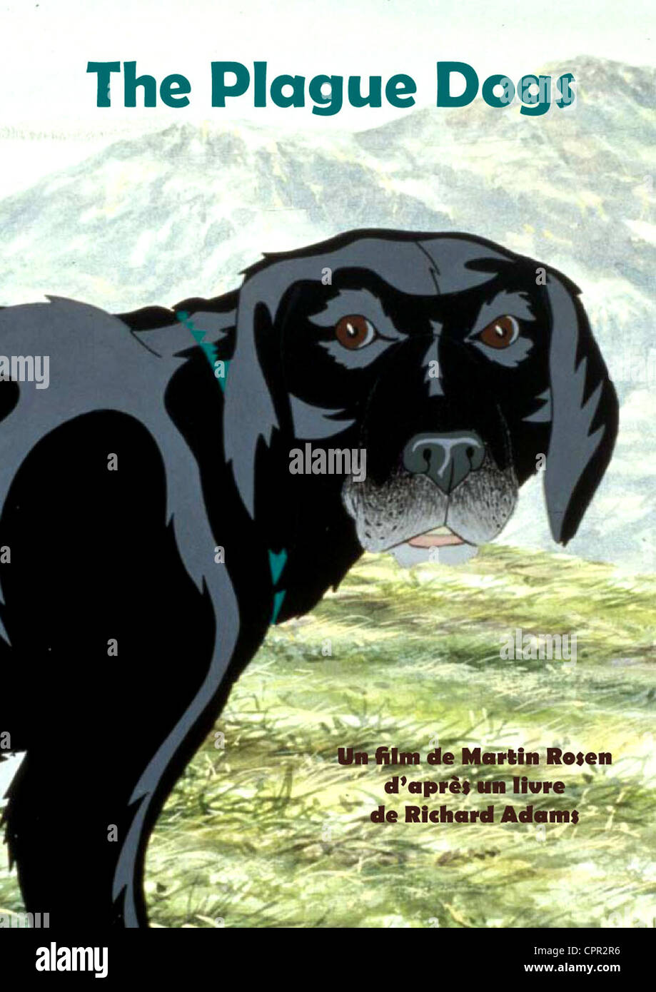 Los perros de la plaga Fotografía de stock - Alamy