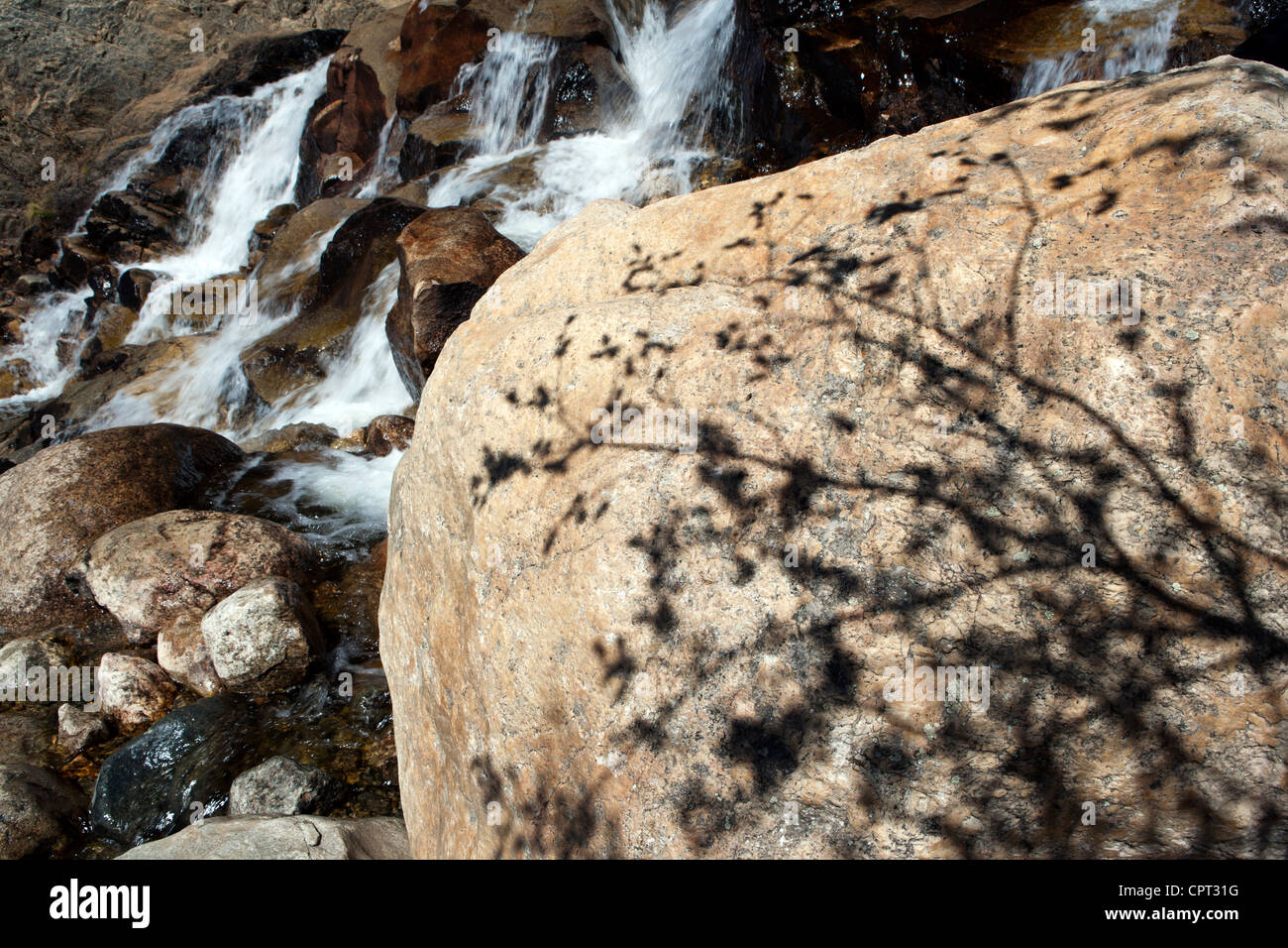 Sombras de árboles en Boulder - abanico aluvial cascada - Rocky Mountain National Park - El Parque Estes, Colorado, EE.UU. Foto de stock