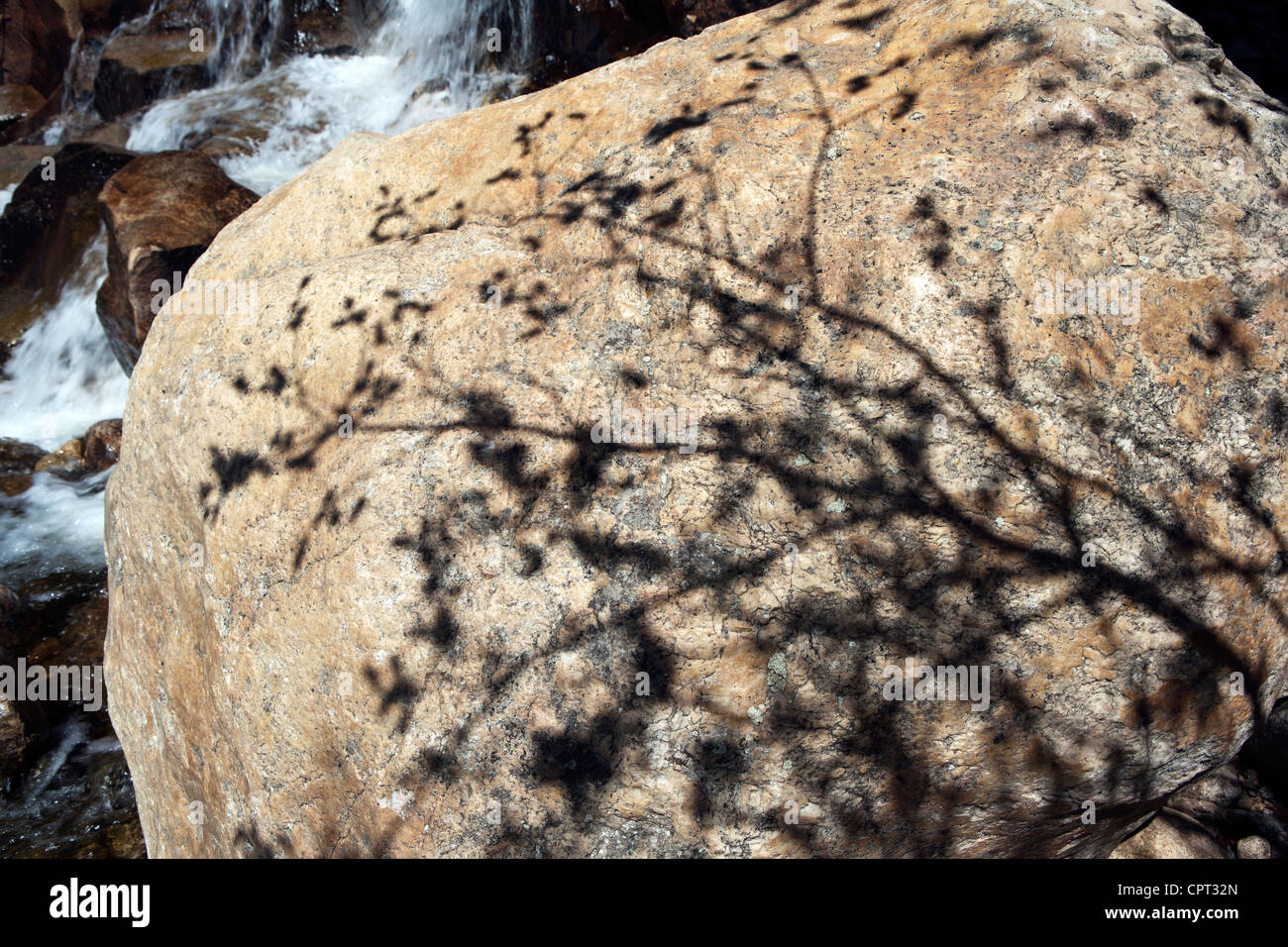 Sombras de árboles en Boulder - abanico aluvial cascada - Rocky Mountain National Park - El Parque Estes, Colorado, EE.UU. Foto de stock