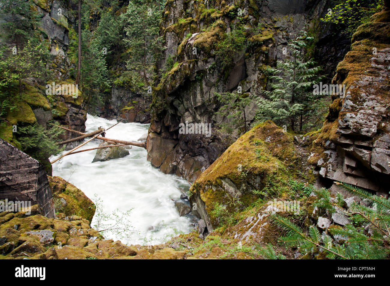 Coquihalla río cerca de Othello túneles - Coquihalla Canyon Parque Provincial - esperanza, British Columbia, Canadá Foto de stock