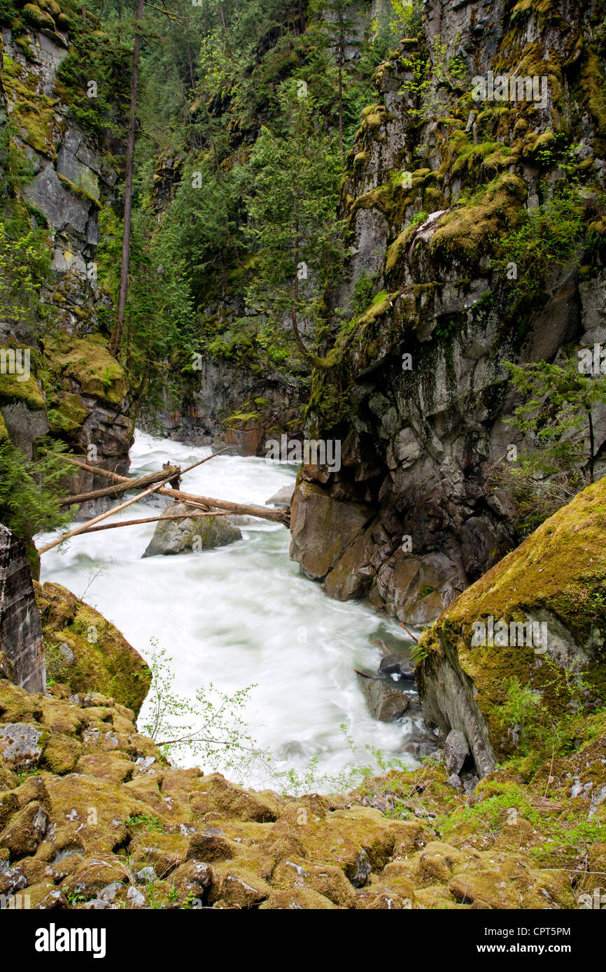 Coquihalla río cerca de Othello túneles - Coquihalla Canyon Parque Provincial - esperanza, British Columbia, Canadá Foto de stock