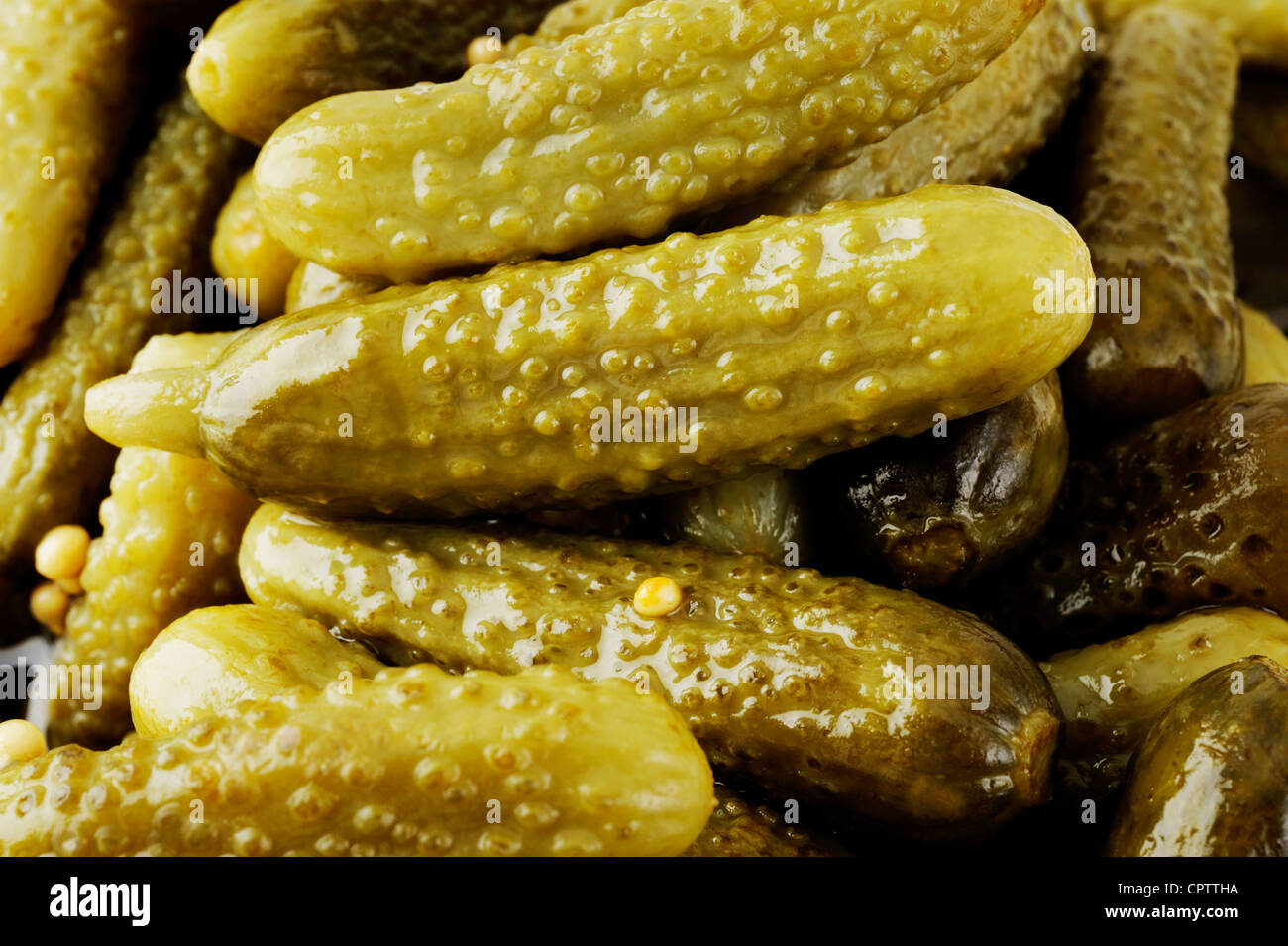 pepino Pickle Foto de stock