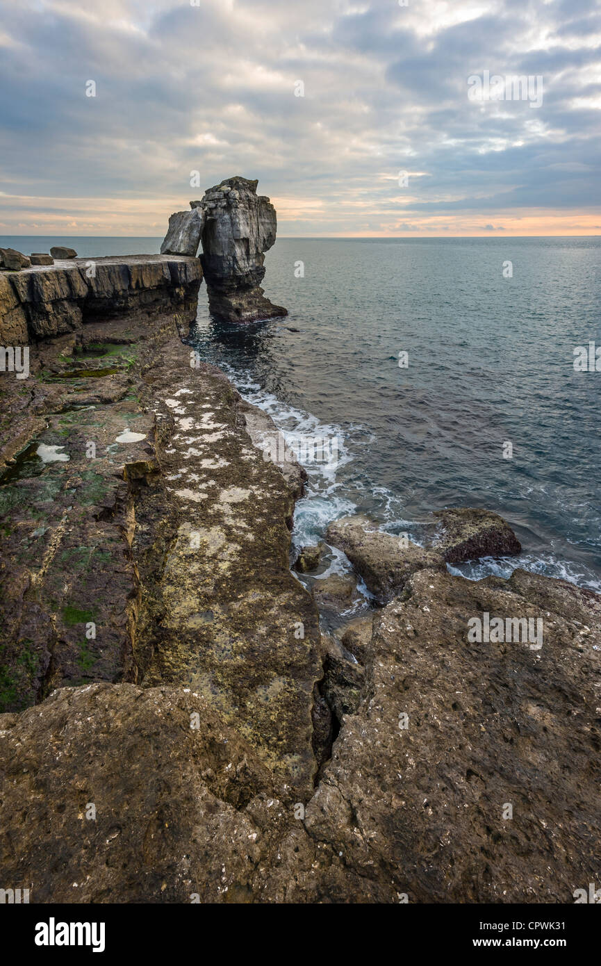 Al atardecer la roca púlpito Portland Portland Bill Dorset UK Foto de stock