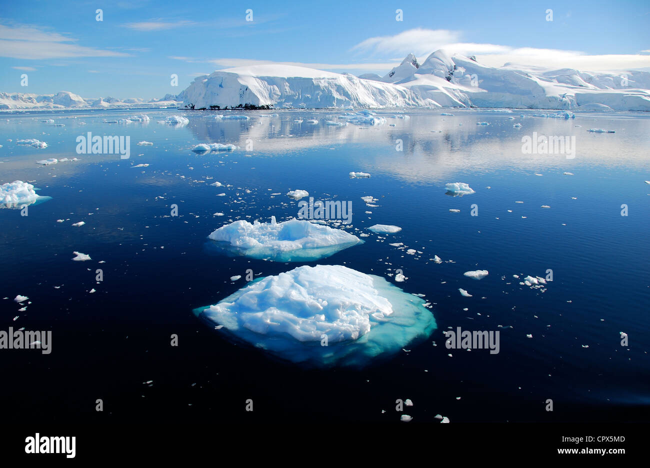 Témpanos de hielo en el océano Antártico Foto de stock