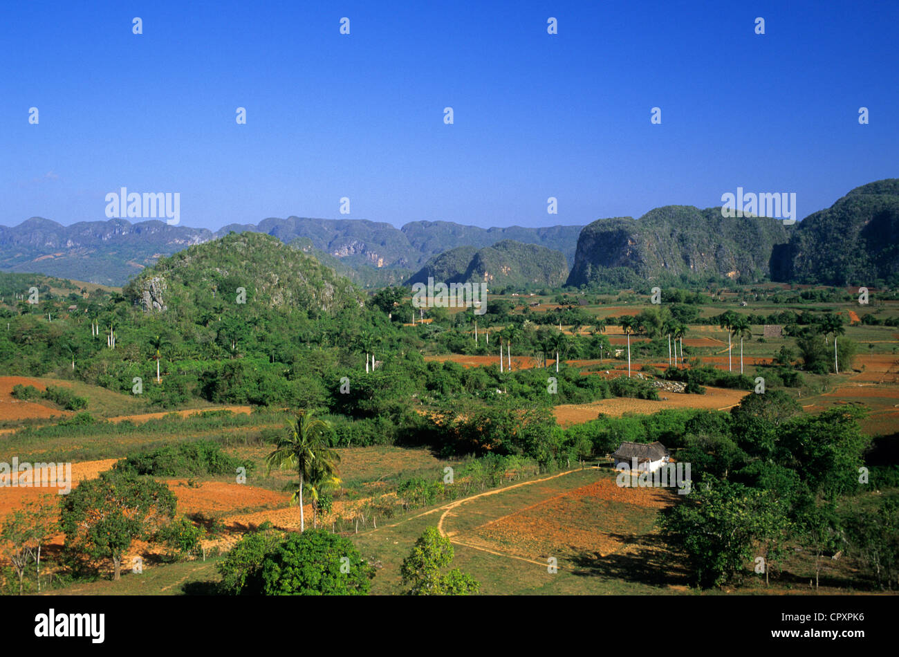 Cuba provincia de Pinar del Río Valle de Viñales listados como Patrimonio Mundial por la UNESCO tabacos campos Mogotes formando Guaniguanico Foto de stock