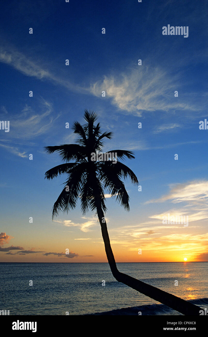 República Dominicana, provincia de La Altagracia, Punta Cana, Playa Bávaro, sunset Foto de stock