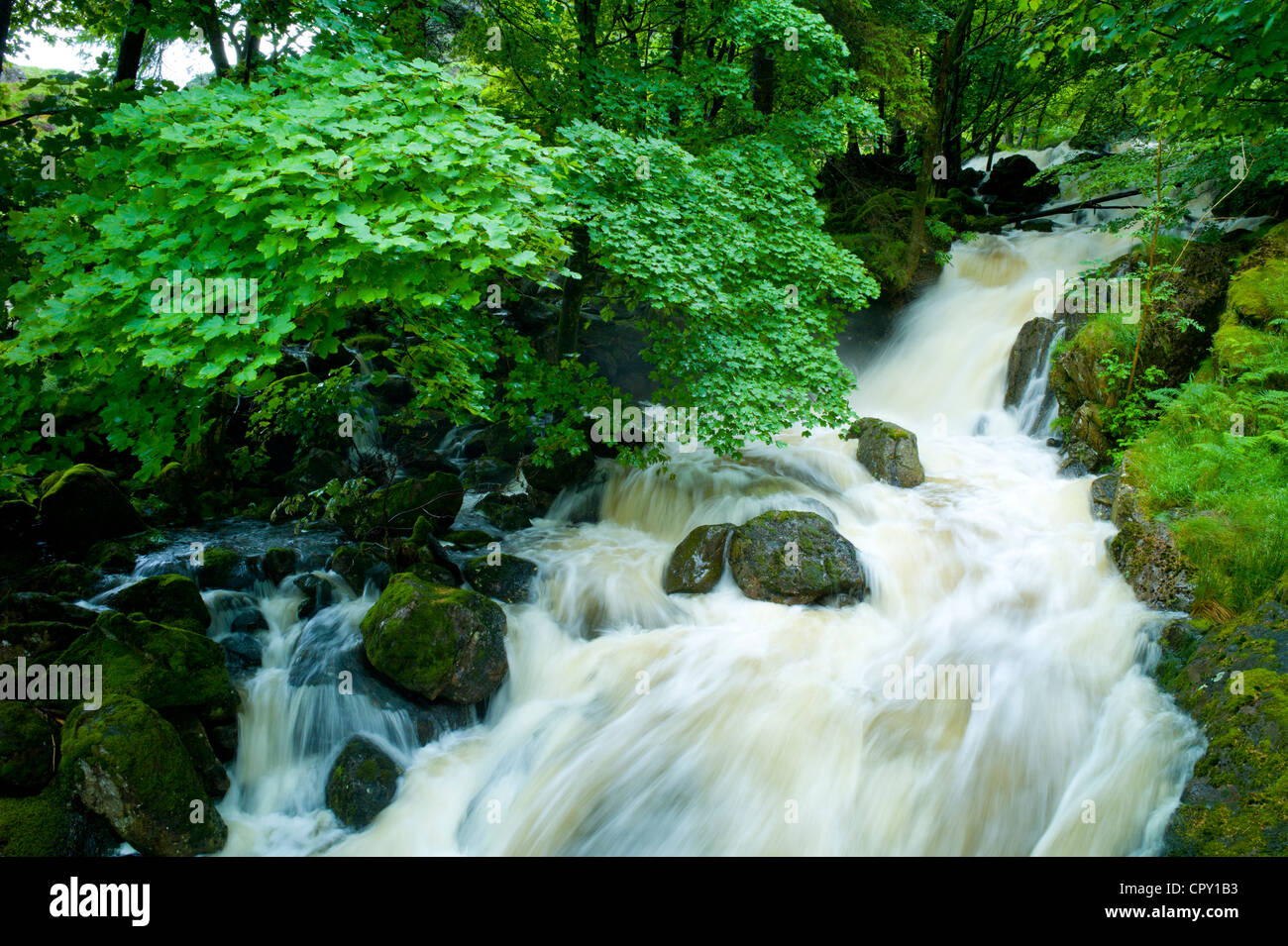 Por Thirlmere Launchy Gill cascada en el Parque Nacional Lake District, Cumbria, Reino Unido Foto de stock