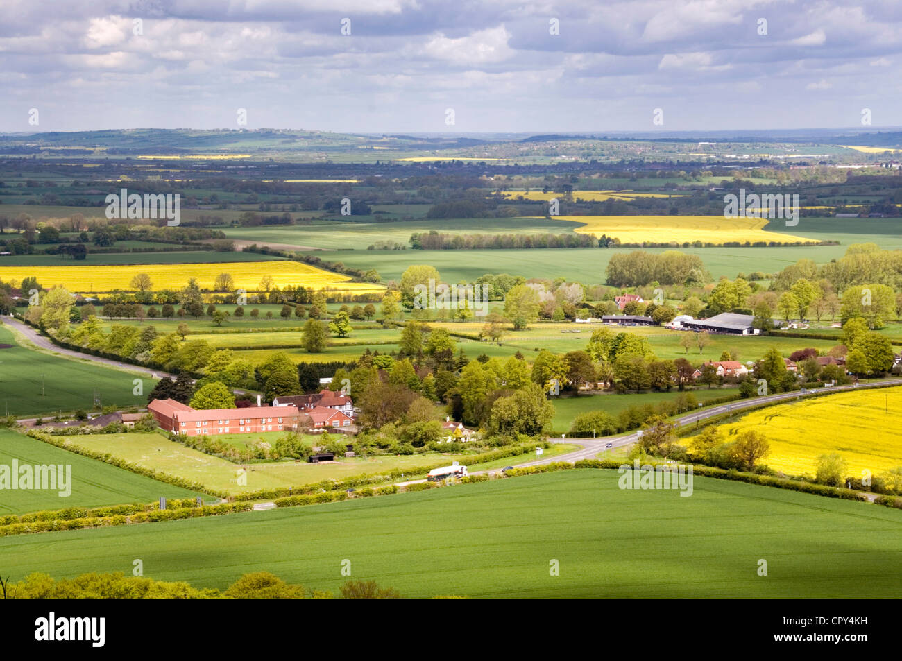 Bucks - colinas de Chiltern -vista sobre Aston Rowant -trigo verde + amarillo campos de colza: Woodland - edificios agrícolas - Sun + sombras Foto de stock