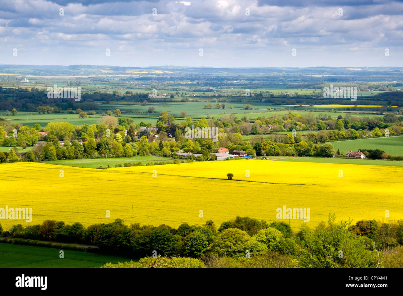 Bucks - vista Aylesbury Plain fr Beacon Hill - Chilterns - colza amarillas - Woodlands - Distancia azul sol y sombra Foto de stock
