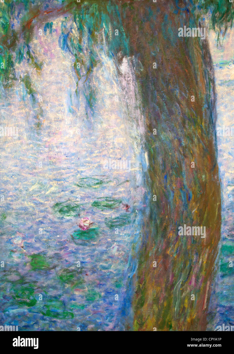 Detalle de lirios de agua por Claude Monet, Musée de l'Orangerie Museo, París, Francia, Europa Foto de stock
