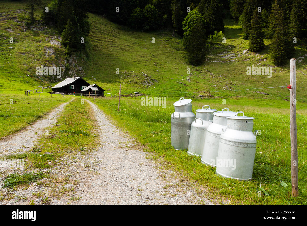 Las latas de leche en un camino que conduce a una cabaña cerca del lago Saemtisersee alpino, 1230m, Bruelisau, Appenzell Rodas Interiores o Innerrhoden Foto de stock