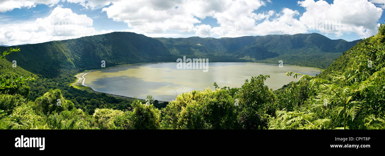 Panorama, Embakai cráter, el volcán, el Área de Conservación de Ngorongoro, Tanzania, África Foto de stock