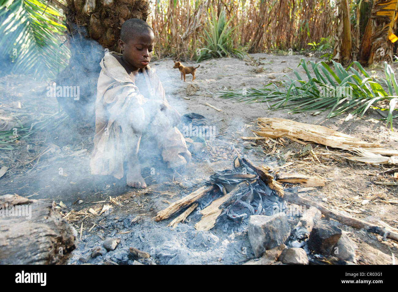 Un niño que no van a la escuela los cocineros un tubérculo de ñame en una fogata mientras trabajaba en el campo en la Región de Zanzan Djorbana, Foto de stock