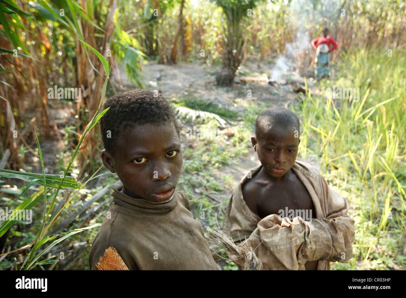 Los niños que no van a la escuela de pie en un campo en la Región de Zanzan Djorbana, Cote d'Ivoire Foto de stock