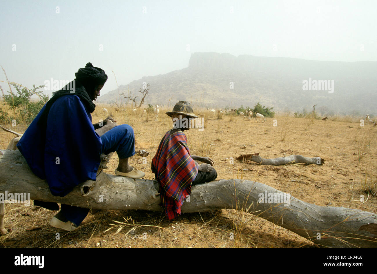 Malí, país Dogon, Fula pastores en Yendouma normal, Bandiagara acantilado lejos Foto de stock