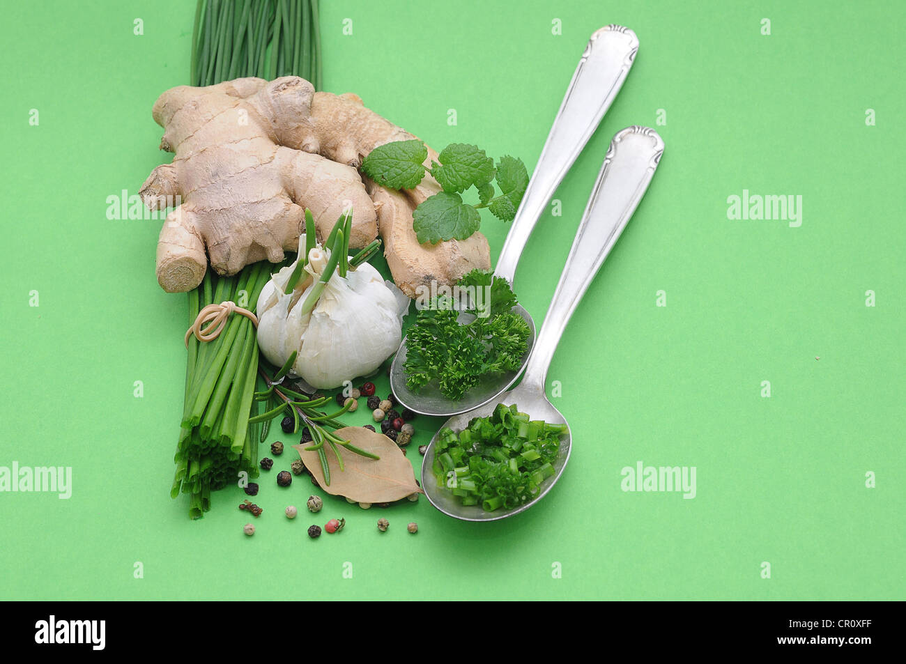 Las especias y hierbas culinarias, el jengibre, el cebollín, el ajo, el romero, el perejil, la pimienta, el laurel, la menta Foto de stock