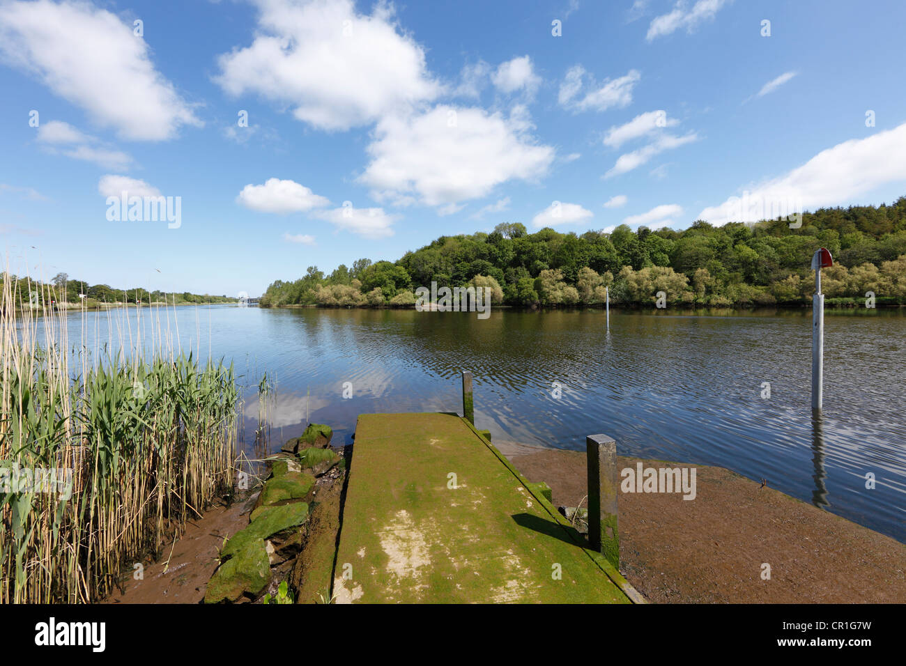 Río Bann cerca de Coleraine, en el condado de Derry, Irlanda del Norte, Gran Bretaña, Europa Foto de stock