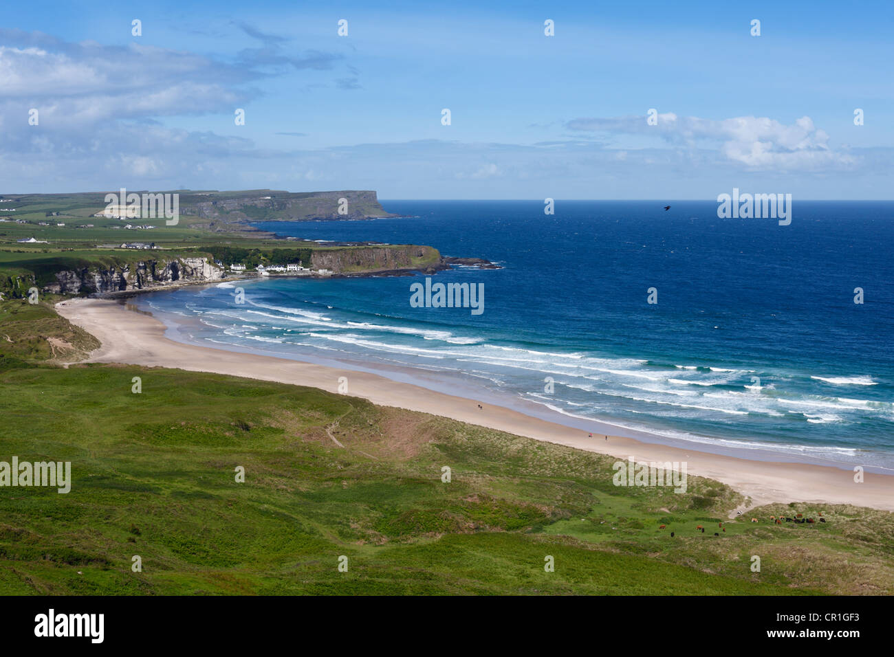 Parque Bahía Blanca o bahía con Whitepark Portbradden, Antrim, Condado de Antrim, Irlanda del Norte, Reino Unido, Europa Foto de stock