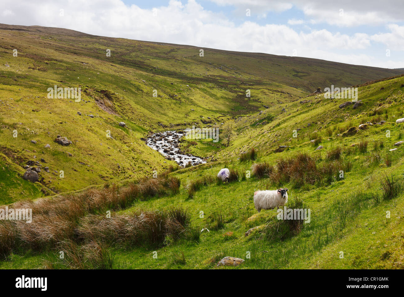 Valle cercano Glendun Cushendun, cañadas de Antrim, Condado de Antrim, Irlanda del Norte, Reino Unido, Europa Foto de stock