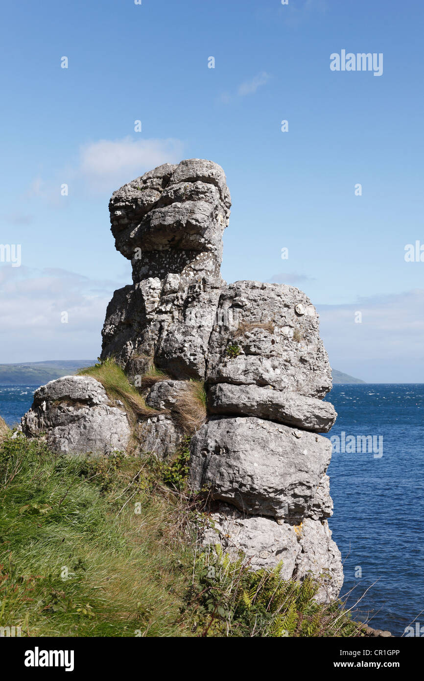 Dama Blanca formación rocosa, Garron Point, en el Condado de Antrim, Irlanda del Norte, Irlanda, Gran Bretaña, Europa Foto de stock