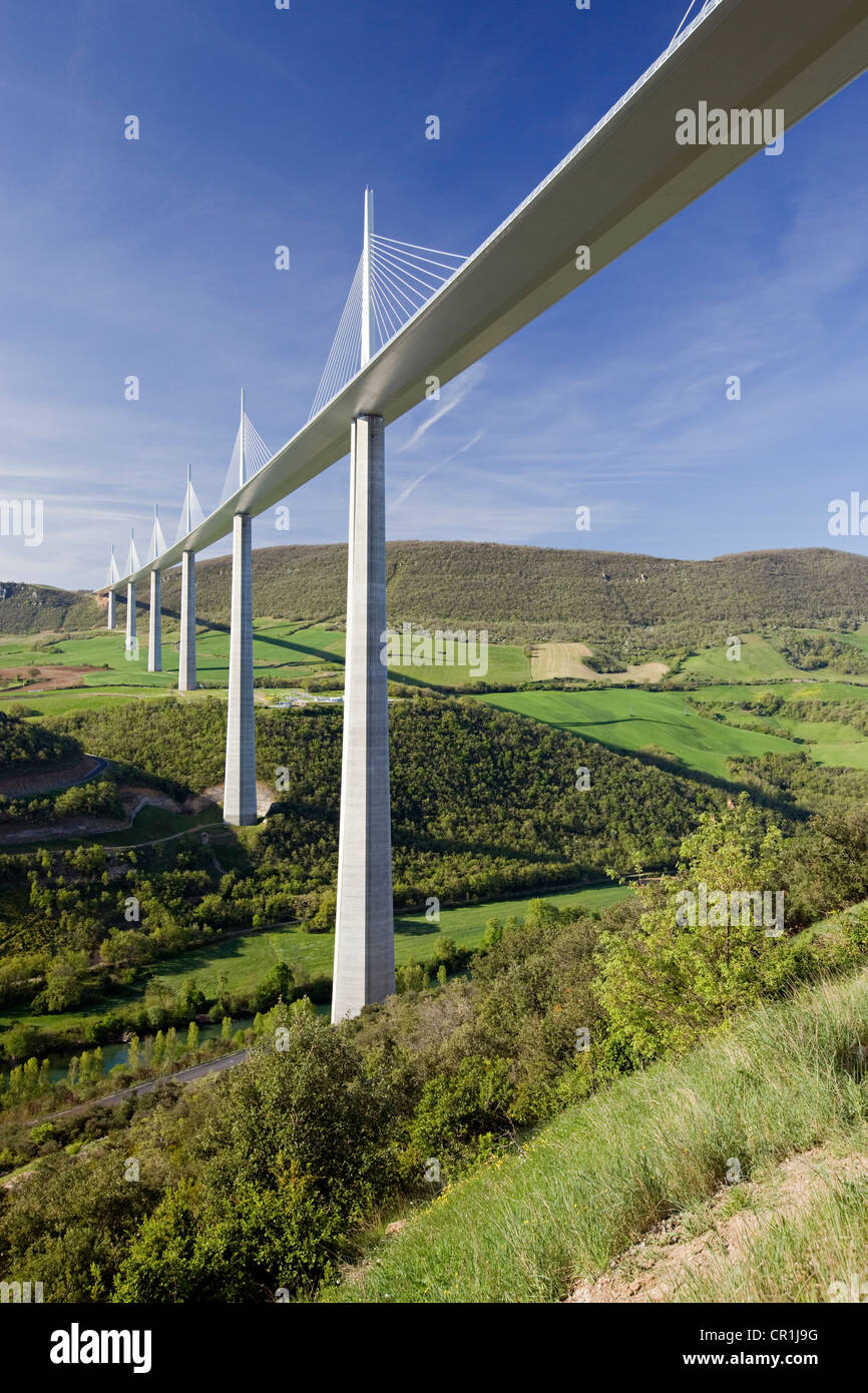 Francia, Aveyron, el Viaducto de Millau (autopista A75), construido por Michel Virlogeux y Norman Foster, situado entre los Causses de Foto de stock