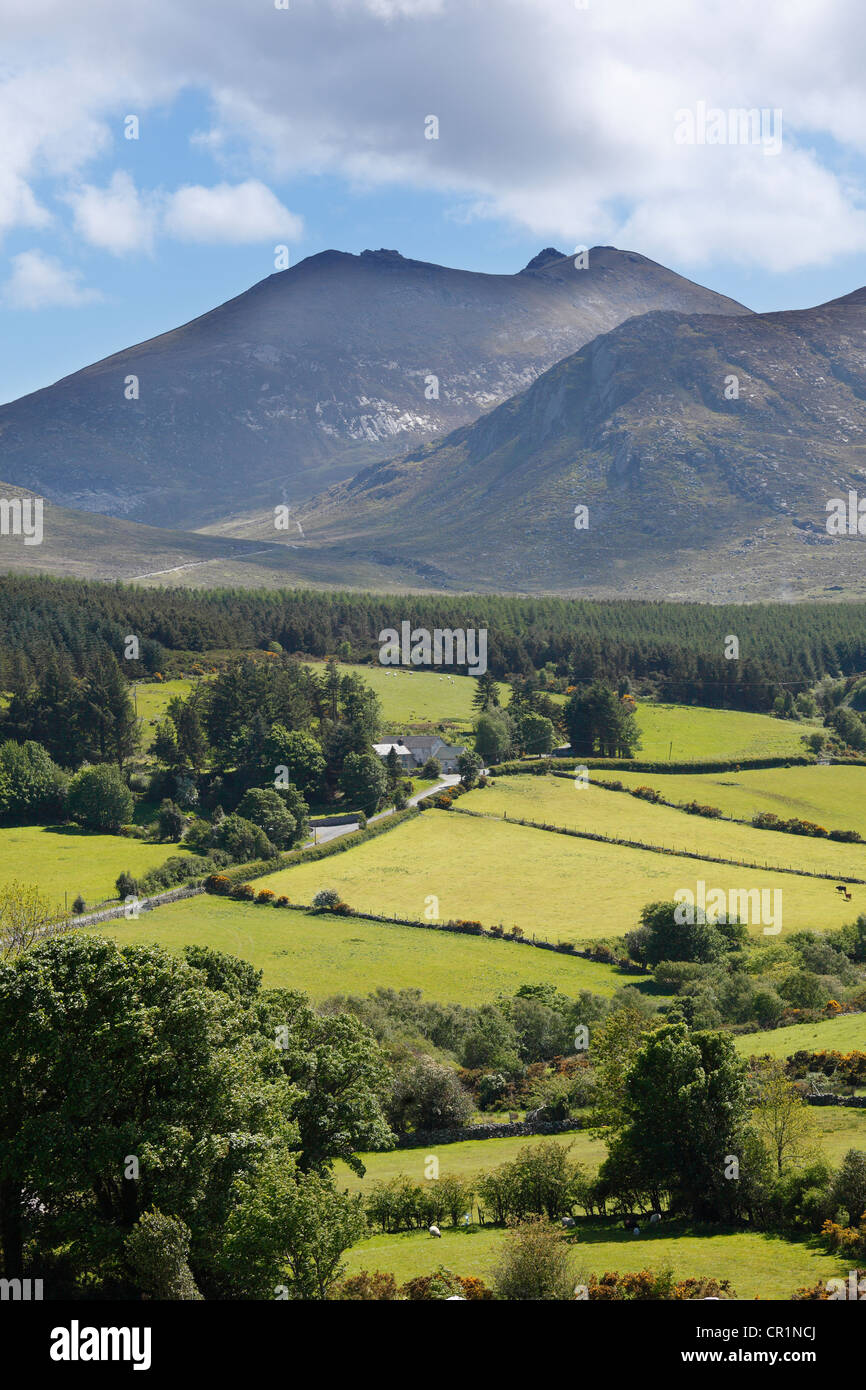 Mt. Slieve Bearnagh, las Montañas Mourne, Condado de Down, Irlanda del Norte, Irlanda, Gran Bretaña, Europa Foto de stock