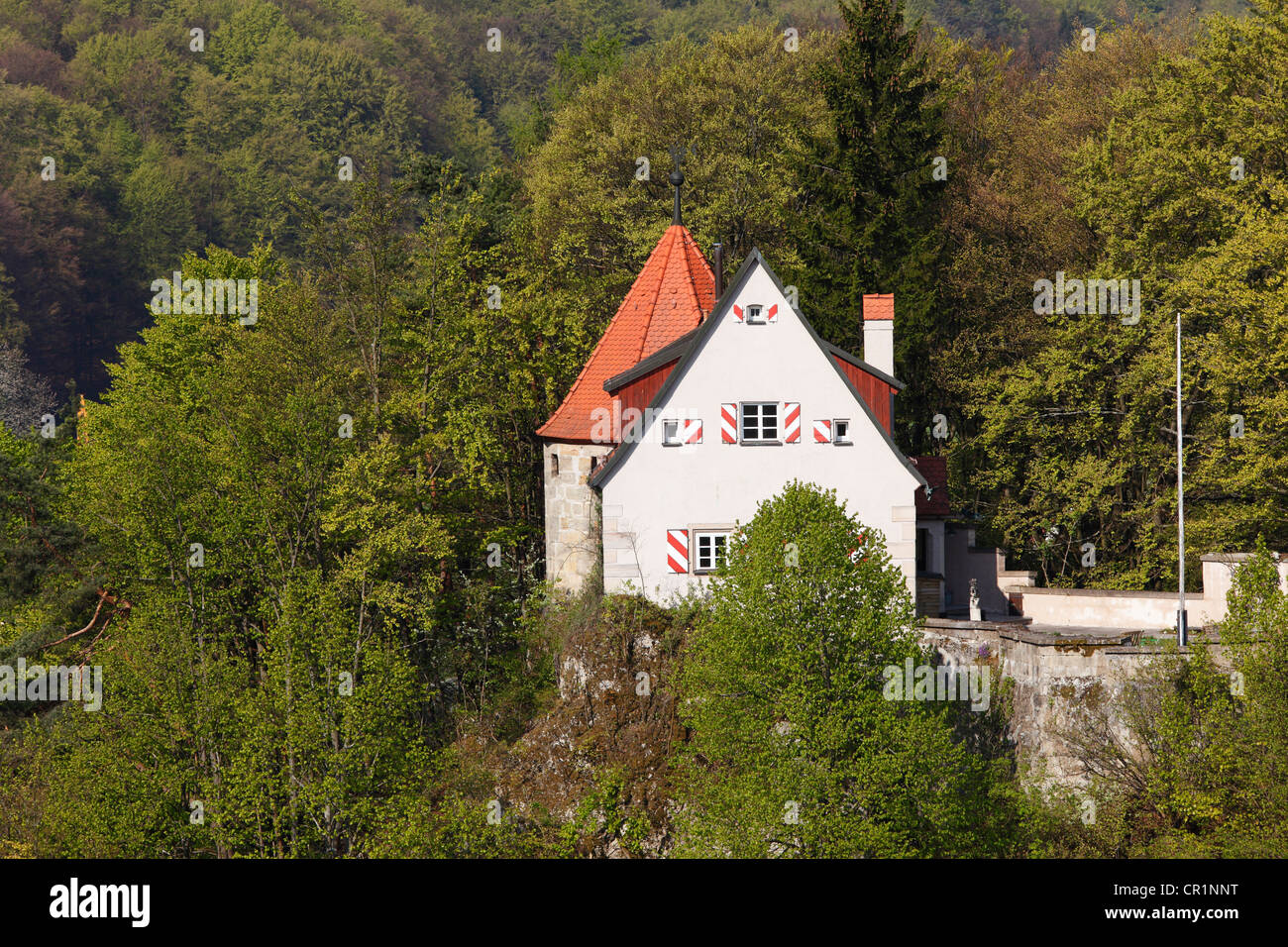 Vista desde el castillo de Betzenstein Schmidberg montaña, Pequeña Suiza, Superior Franconia, Franconia, Baviera, Alemania, Europa Foto de stock