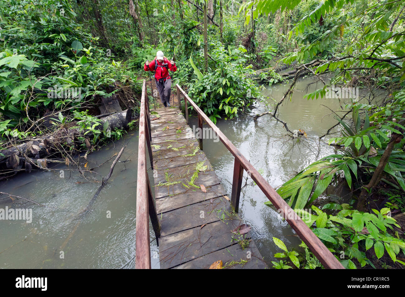 Caminante cruzando un puente en el bosque lluvioso, la Laguna del Lagarto Lodge, Alajuela, Costa Rica, Centroamérica Foto de stock
