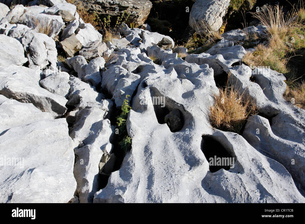 Las formaciones cársticas y barrancos, la geología de la roca caliza, sendero geológico sobre Gamser Montaña Rugg, Toggenburg Foto de stock