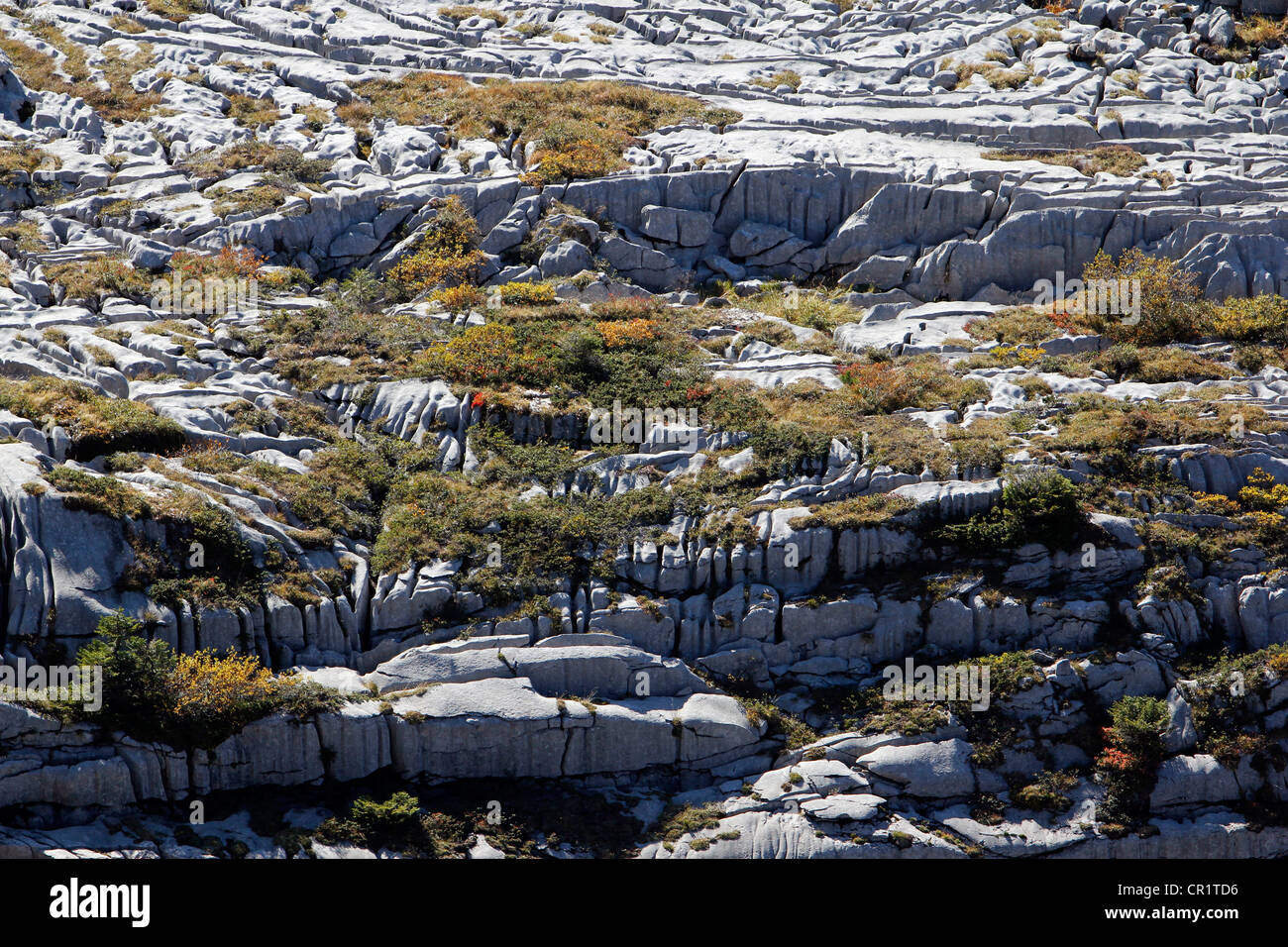 Pavimento de piedra caliza, la topografía, la geología de karst Gamser Montaña Rugg, Toggenburg, Cantón de San Gallen, Suiza, Europa Foto de stock