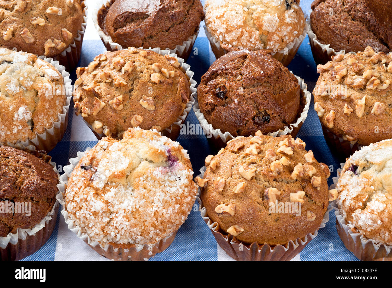 Un grupo de desayuno muffins recién horneados incluyendo blueberry, chocolate y nuez descansando sobre un mantel a cuadros. Foto de stock