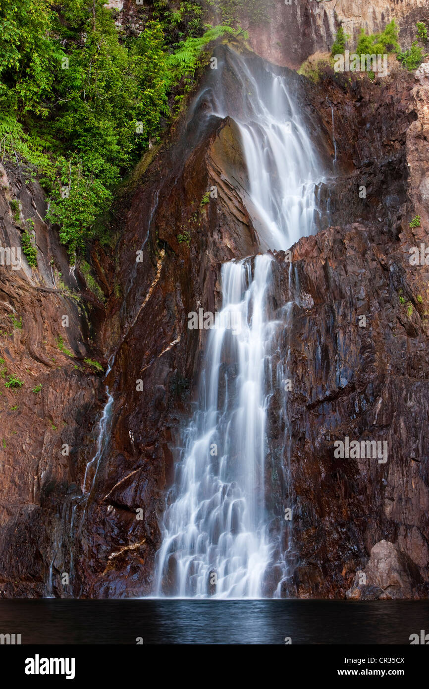 Tjaynera Falls, detalle, Litchfield National Park, el Territorio del Norte, Australia Foto de stock