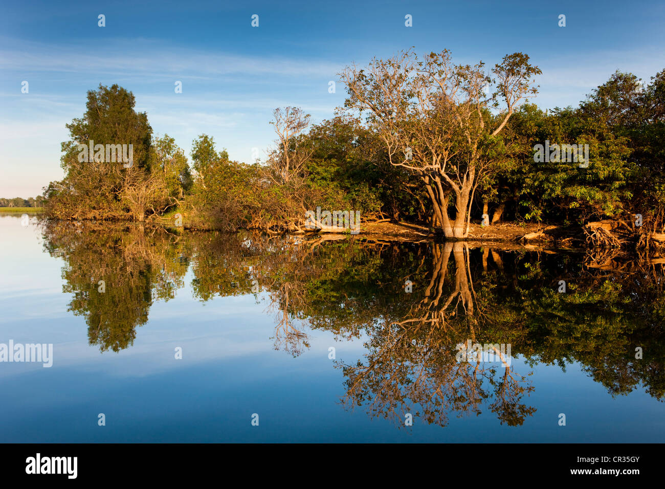 Los humedales de agua amarilla o a la laguna, el Parque Nacional Kakadu, el Territorio del Norte, Australia Foto de stock