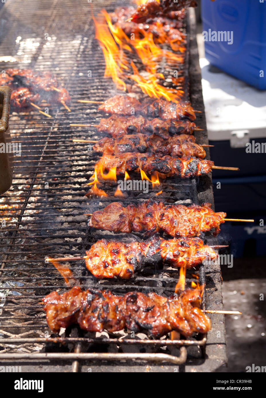 Carne En Los Pinchos Un Fuego Abierto Foto de archivo - Imagen de pollo,  mano: 119575122