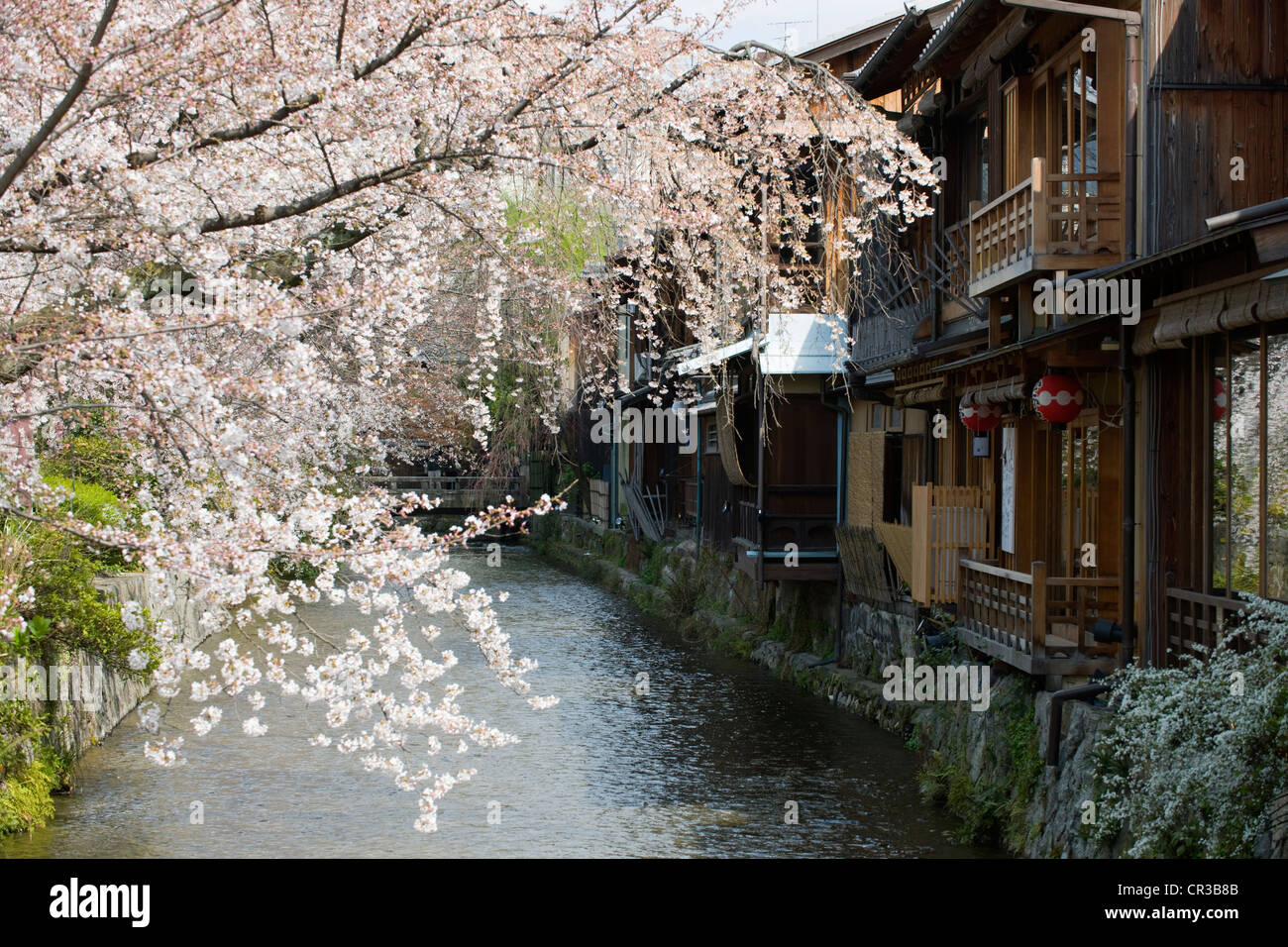 Japón, la isla de Honshu, la región de Kinki, la ciudad de Kyoto, el distrito Gion Foto de stock