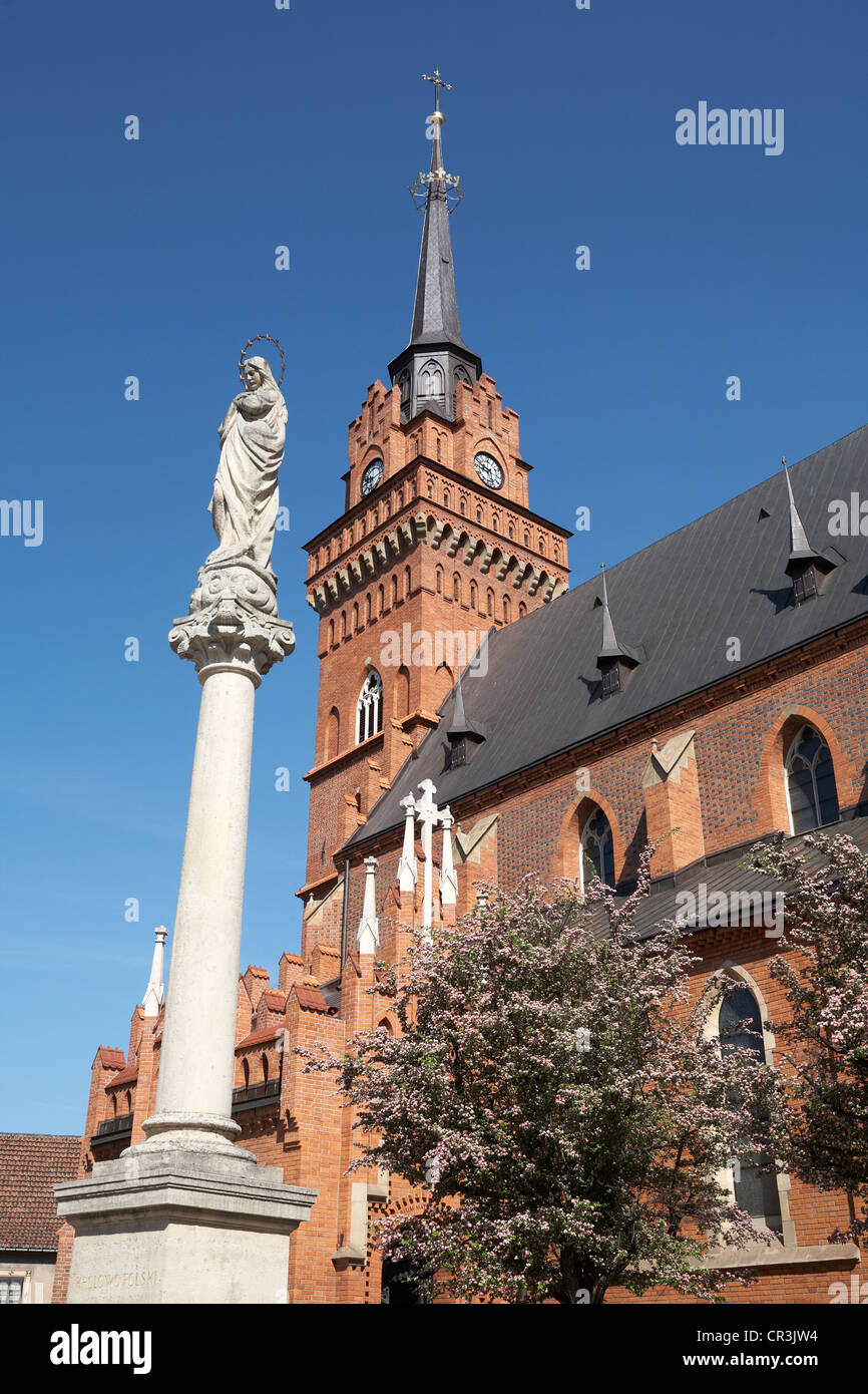 Polonia Tarnow ladrillo neogótica Catedral de la Natividad de la Virgen María Foto de stock